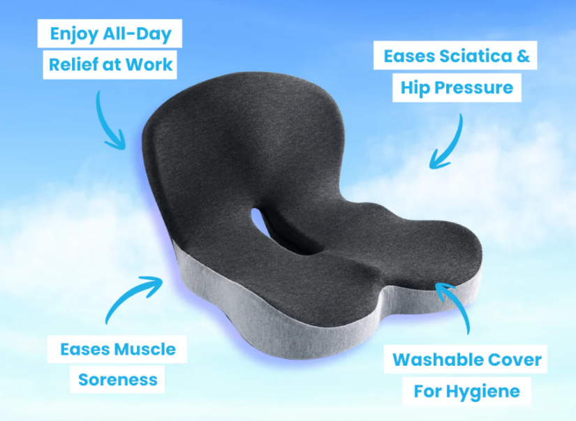 Seat Cushion with Lumbar support